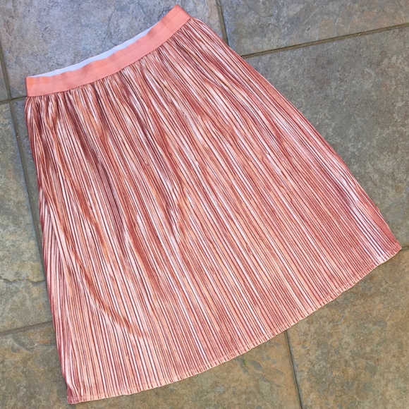 Pink Owl Velvet Pleated Champagne Skirt - Picture 4 of 7